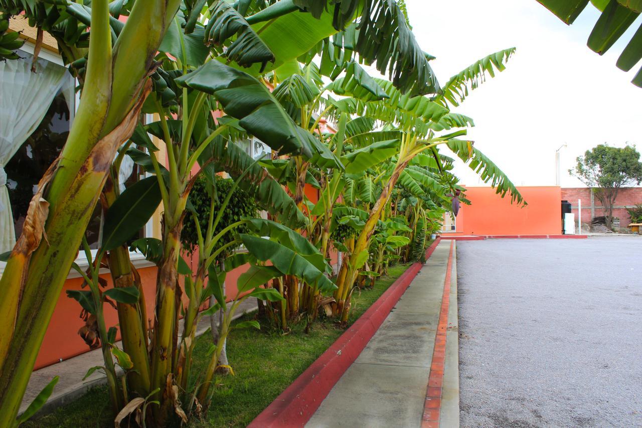 Hotel Real De Cortes Los Reyes  外观 照片